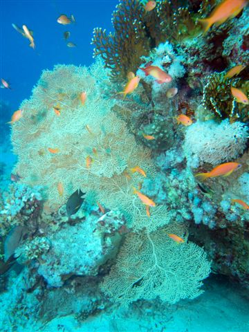 Safari w obiektywie Kasi