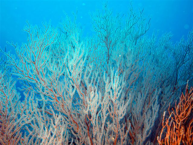 Safari w obiektywie Kasi