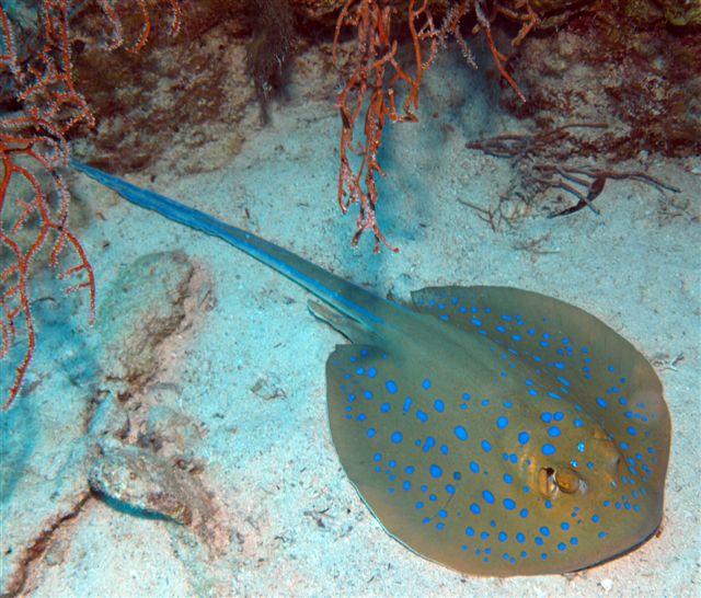 Safari w obiektywie Kasi