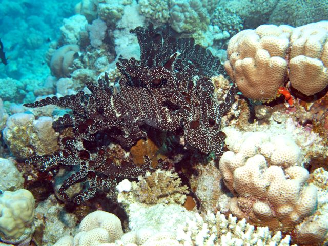 Safari w obiektywie Kasi