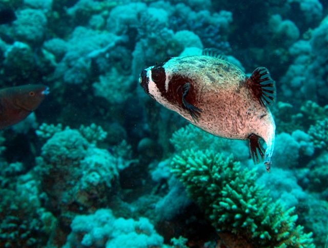 Safari w obiektywie Kasi