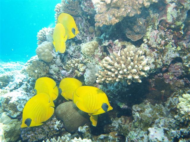 Safari w obiektywie Kasi