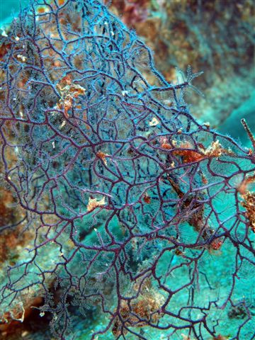 Safari w obiektywie Kasi