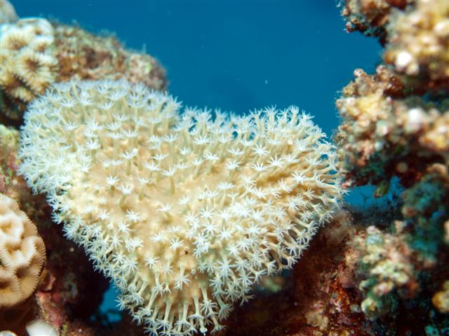 Safari w obiektywie Kasi