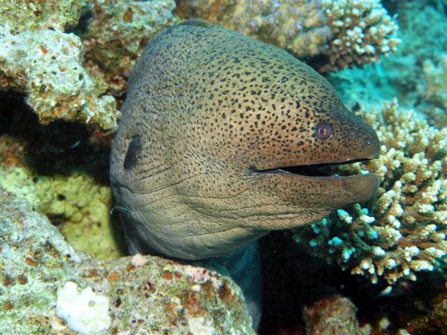 Safari w obiektywie Kasi