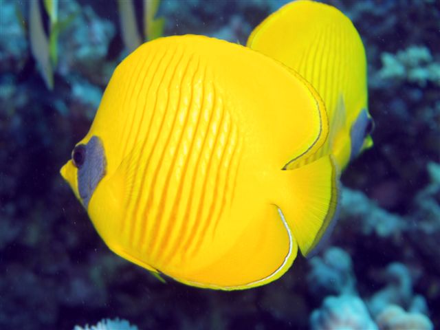 Safari w obiektywie Kasi