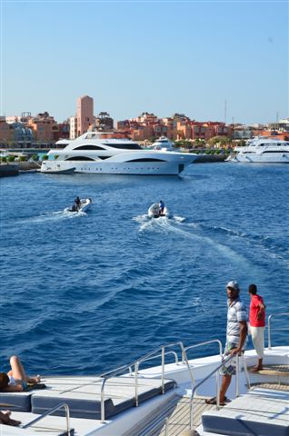 Safari w obiektywie Kasi