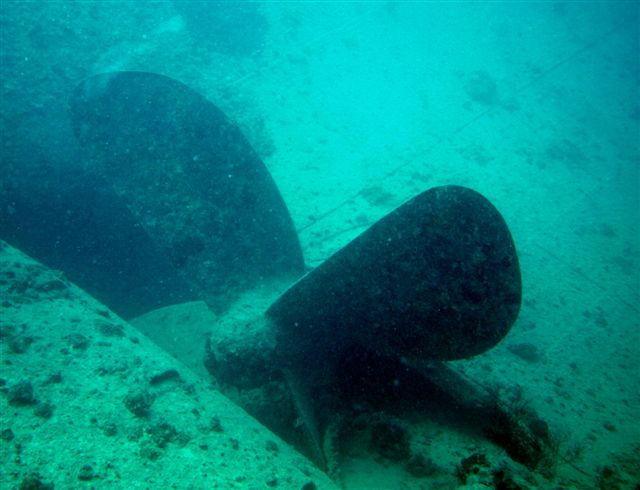 Safari w obiektywie Kasi