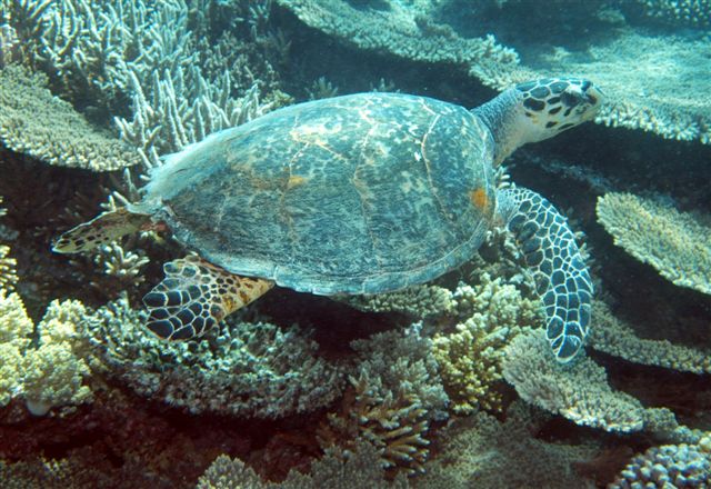 Safari w obiektywie Kasi