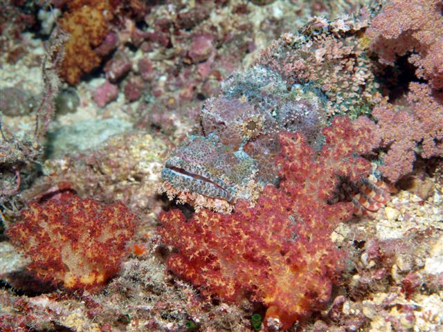 Safari w obiektywie Kasi