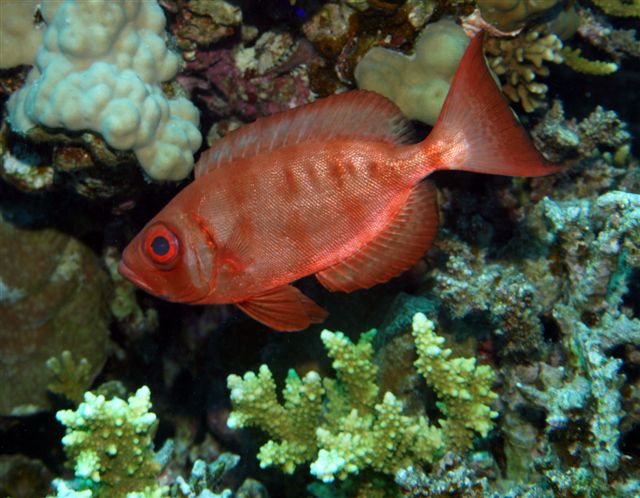 Safari w obiektywie Kasi