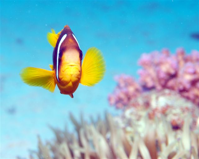 Safari w obiektywie Kasi