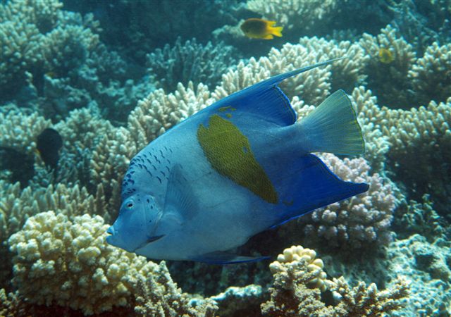 Safari w obiektywie Kasi