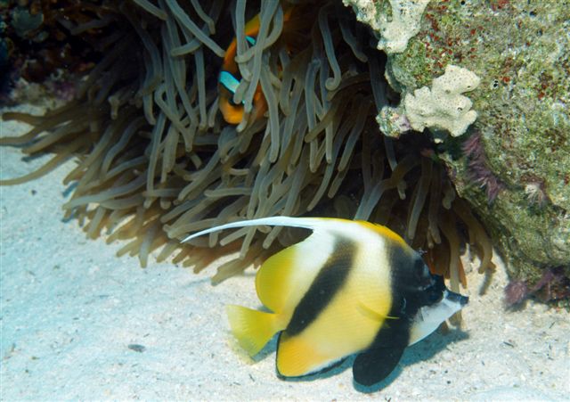 Safari w obiektywie Kasi