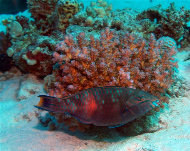 Safari w obiektywie Kasi