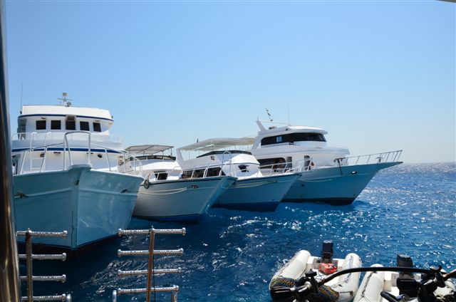 Safari w obiektywie Kasi