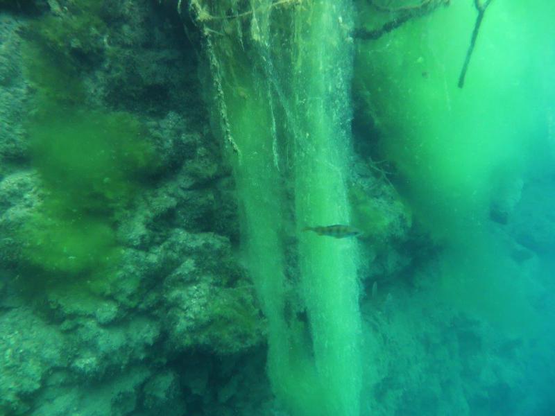 Szczupaki na Piechcinie