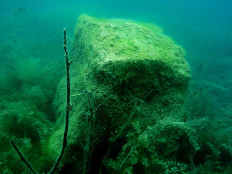 Szczupaki na Piechcinie