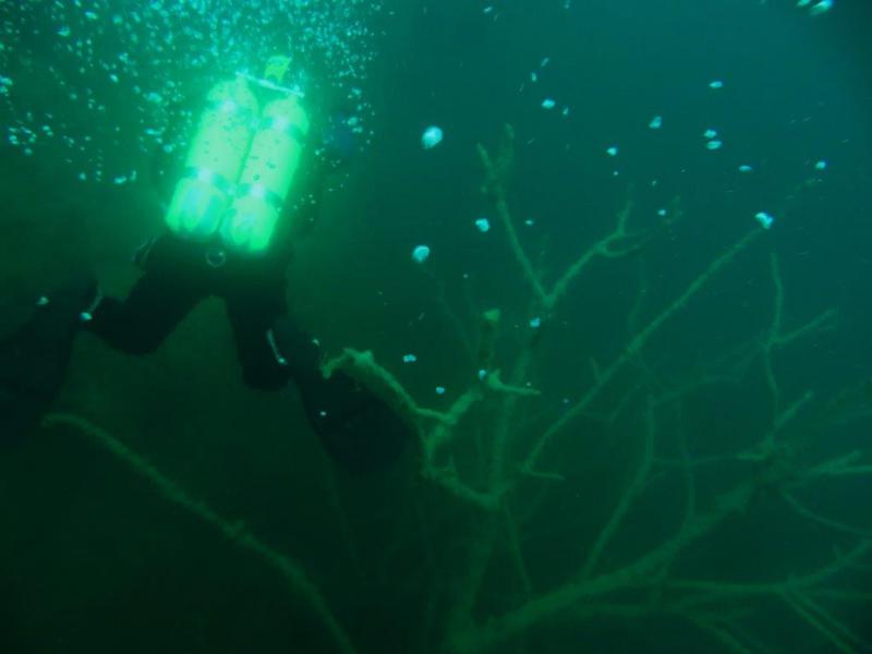 Szczupaki na Piechcinie