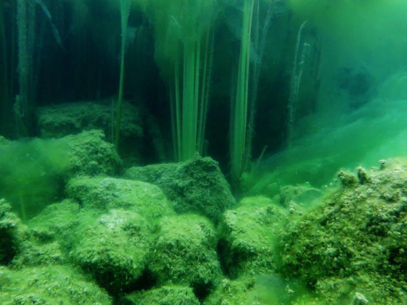 Szczupaki na Piechcinie