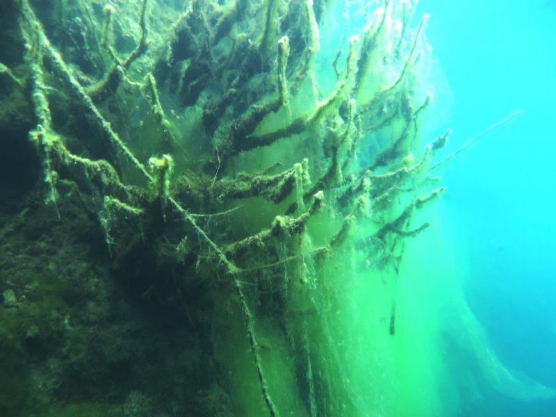 Szczupaki na Piechcinie