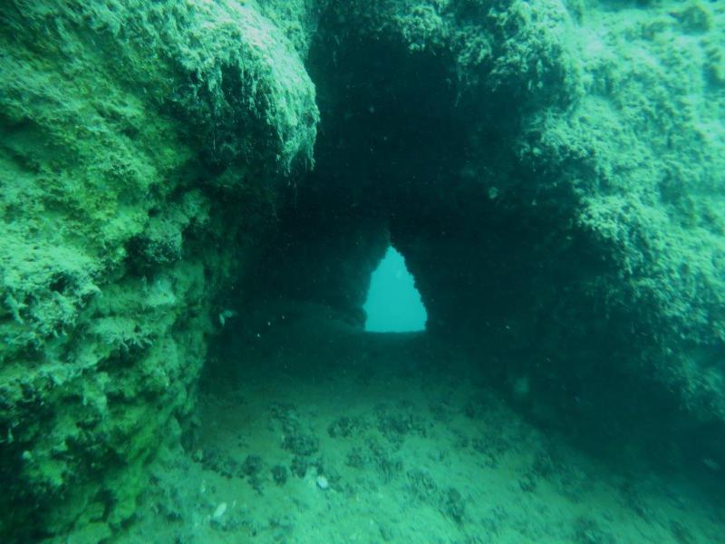 Szczupaki na Piechcinie