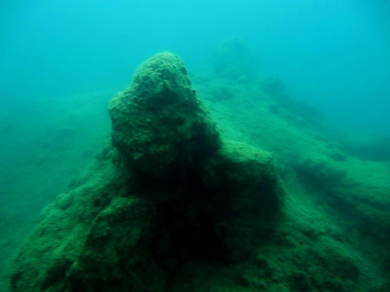 Szczupaki na Piechcinie