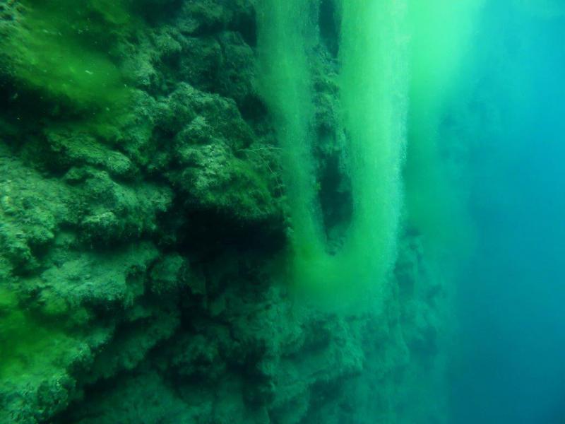 Szczupaki na Piechcinie