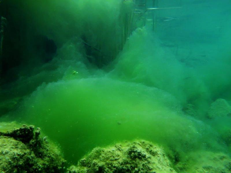 Szczupaki na Piechcinie