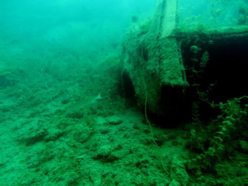 Szczupaki na Piechcinie