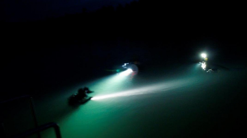 Zabezpieczenie Pikniku Lotniczego przez nurków z Moby Dicka