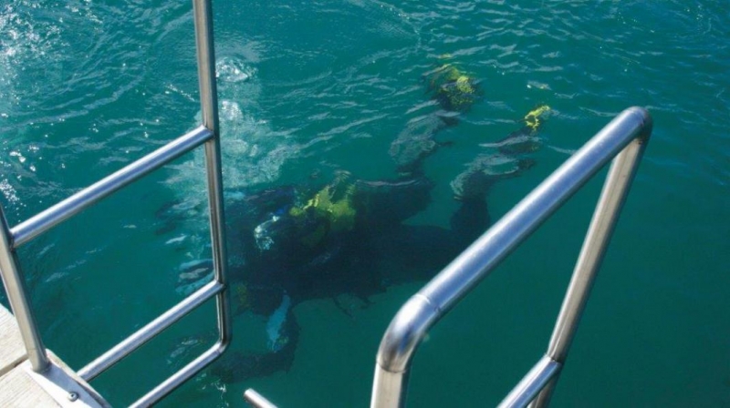 Zabezpieczenie Pikniku Lotniczego przez nurków z Moby Dicka