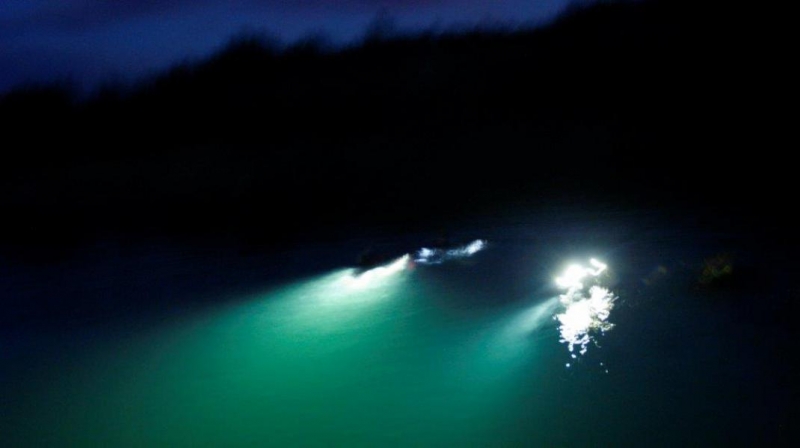 Zabezpieczenie Pikniku Lotniczego przez nurków z Moby Dicka