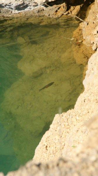 Zabezpieczenie Pikniku Lotniczego przez nurków z Moby Dicka