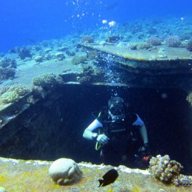 Listopadowe nury w Safadze