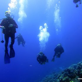 Listopadowe nury w Safadze