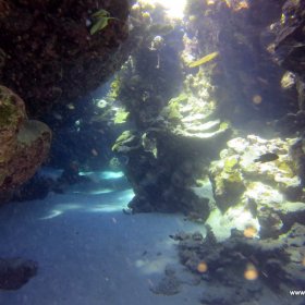 Listopadowe nury w Safadze