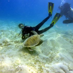 MARSA ALAM W CZERWCU