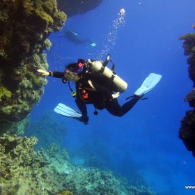 Safari Nurkowe St Johns Red Sea