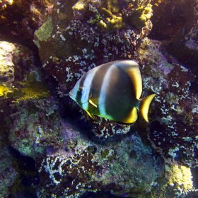 Red Sea_3