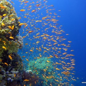 Red Sea_3