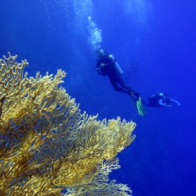 Red Sea_5