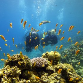 Kultowe miejsce Dahab  (2)