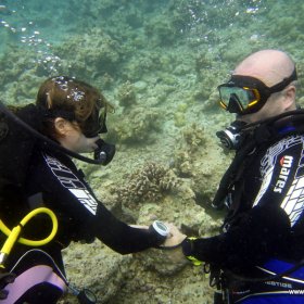 Malediwy nurkowy raj_2