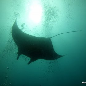 Malediwy nurkowy raj_3