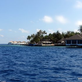 Malediwy nurkowy raj_6