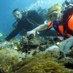 Malediwy nurkowy raj_9