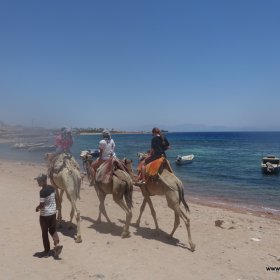 Dahab po pandemi - tylko w maseczkach_7