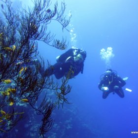 Dahab po pandemi - tylko w maseczkach_9