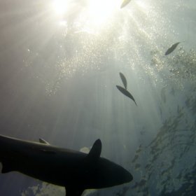 Malediwy deep south 2022_1